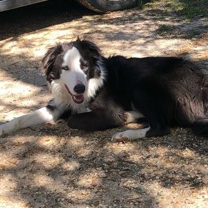 Meet your Posher, Lynn